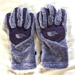 The North Face Insulated Gloves